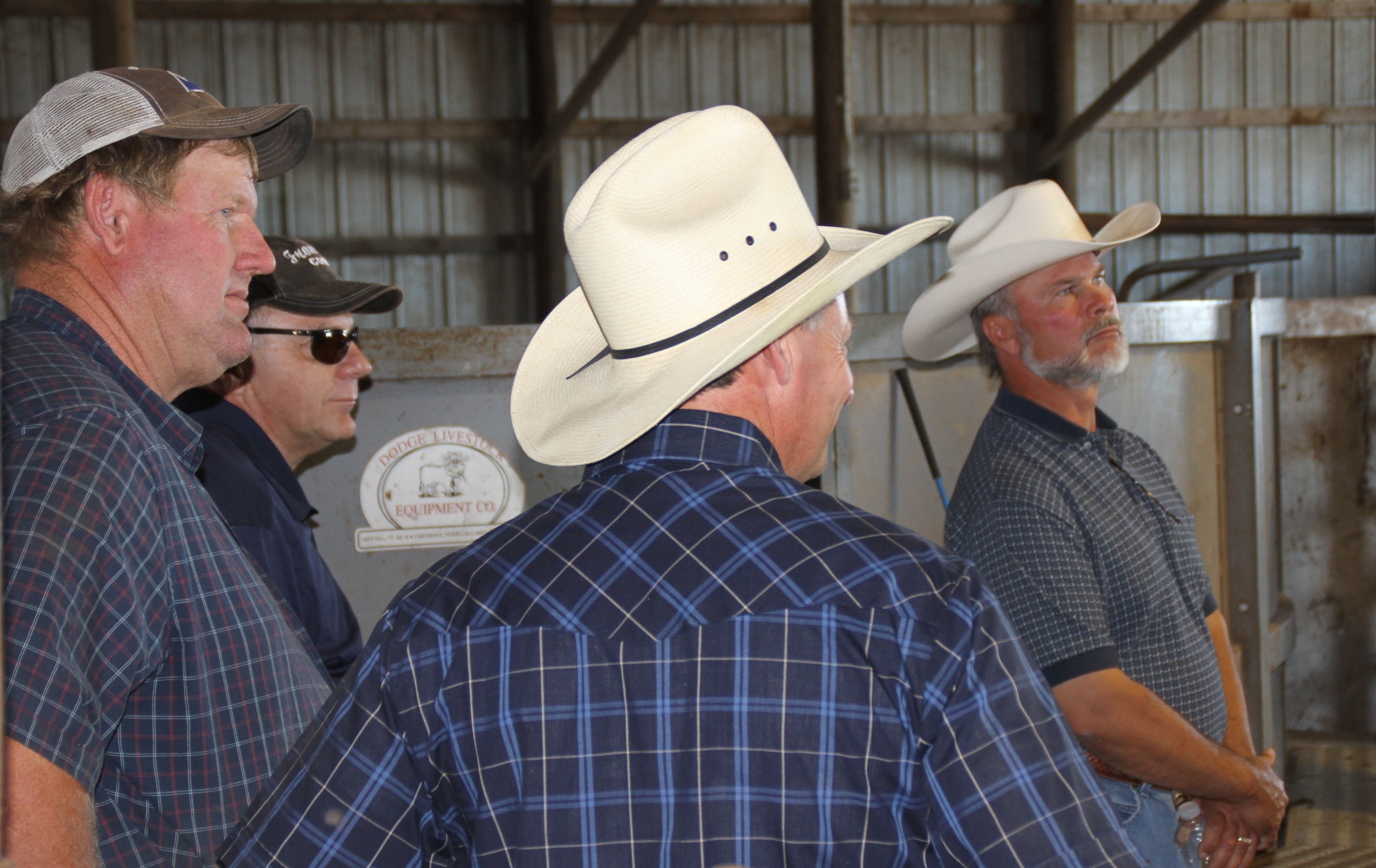 Samson Beef Bash