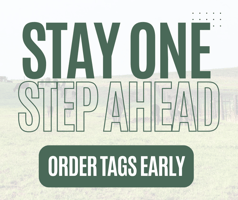 Stay One Step Ahead!