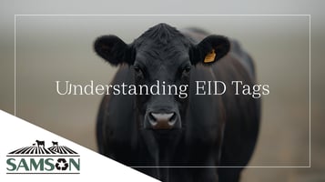 Understanding EID Tags