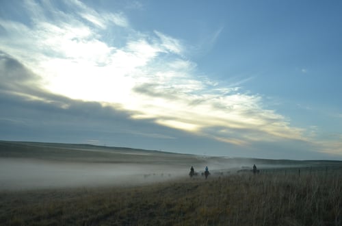 cattle drive 2nd morning 5 26 14 127-2