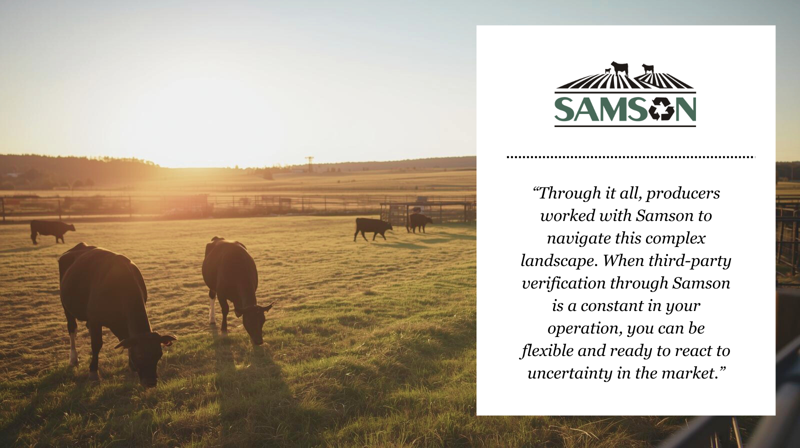 Samson Verified Cattle